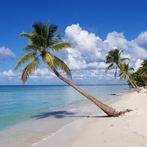 SAONA