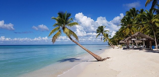 SAONA
